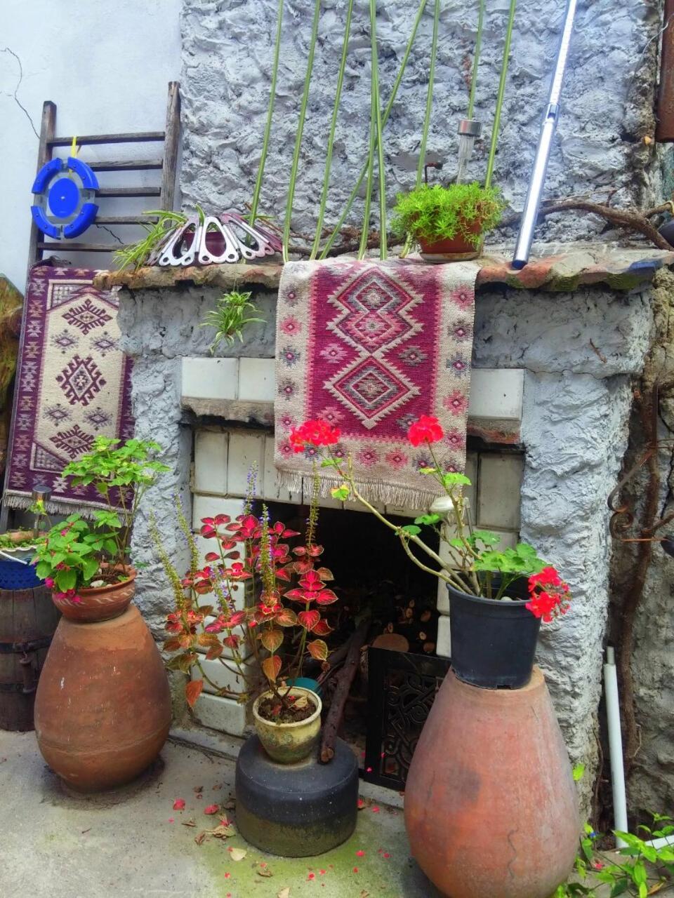 Guest House Marina Tbilisi Exterior foto